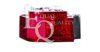EQUAL QUALITY RN0029 Insert, headlight